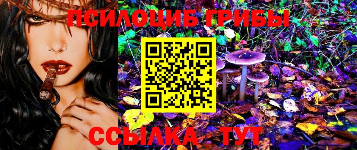 Шелехов  Галлюциногенные грибы Magic Shrooms  Вход с VPN 